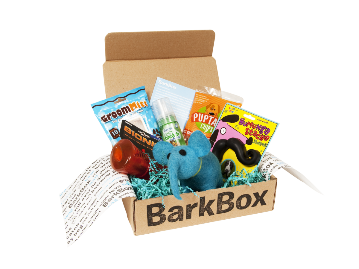 Barxbox review